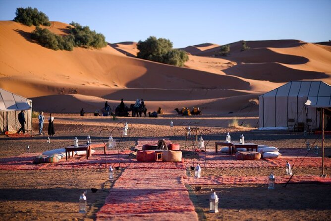 Enjoying Dinner In The Hurghada Desert - Dinner Experience in Hurghada Desert