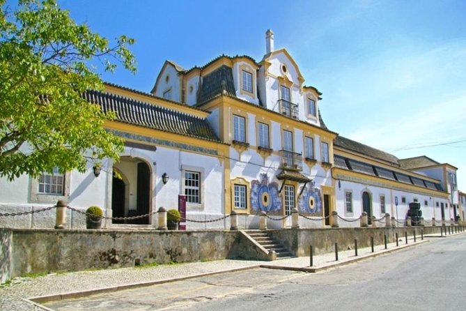 ENOTOUR Wine Museums & Arrábida Natural Park - Lunch at the Beach - Tour Highlights