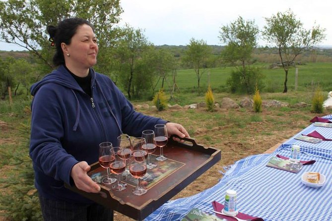 Ephesus and Wine Tasting Tour From Kusadasi With Private Guide and Van - Inclusions and Exclusions