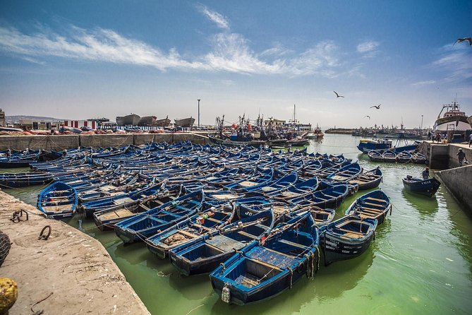 Essaouira, Private Day Tour - Itinerary