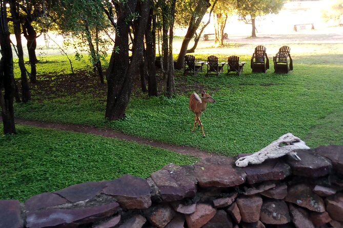 Eswatini Full Day Trip From Maputo