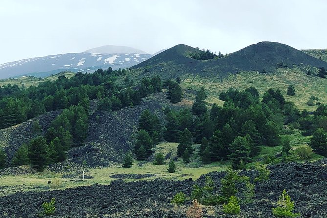 Etna Trekking Private Day Tour With Options - Inclusions and Meeting Details