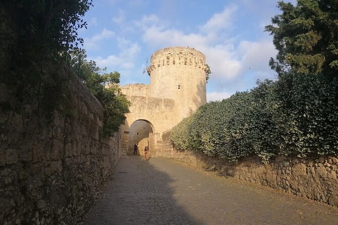 Etruscan Unesco Site in Tarquinia and Viterbo, Package Price - Booking Information and Flexibility