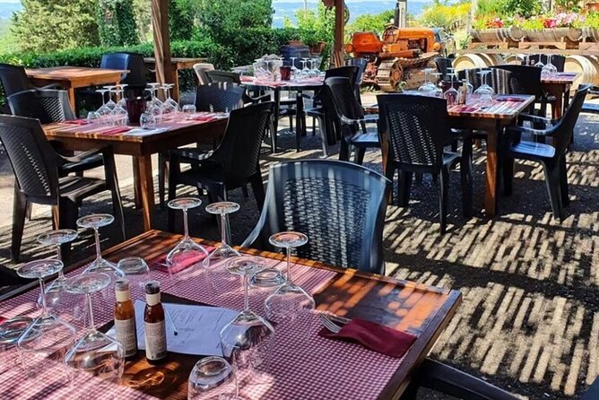 Etruscan Winery, Lunch & Wine Tasting in Chianti