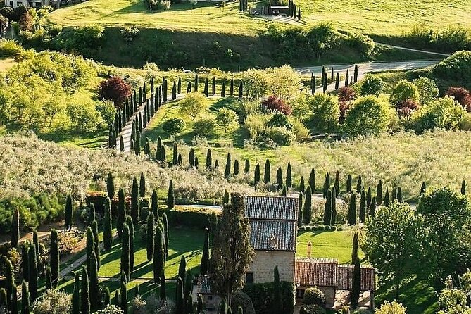 Etruscans, Pitigliano and Wine Tasting Private Tour - Tour Details