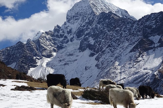 Everest Base Camp Helicopter Tour - Tour Highlights