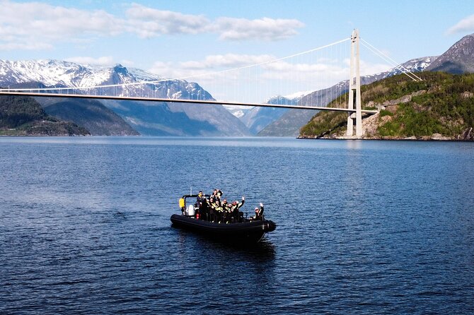 Exclusive & Private Hardangerfjord RIB Safari Tour From Ulvik