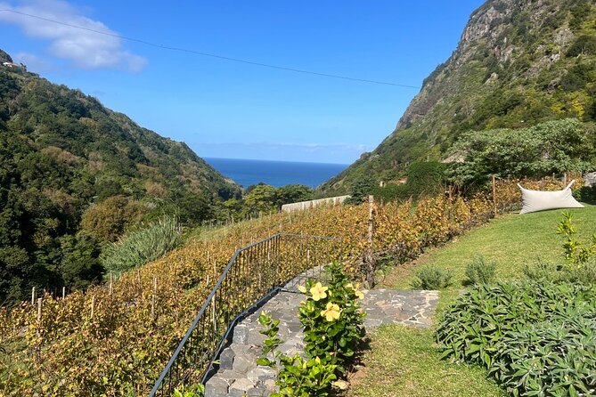 Exclusive Wine Tasting in the Wine Region of Boaventura