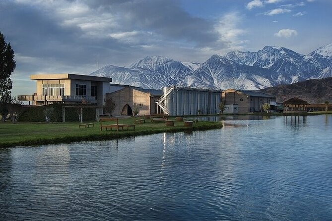 Excursion Through Luxury Wineries in the Uco Valley Mendoza - Overview of Uco Valley
