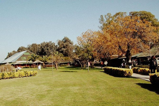 Excursion to a Typical Estancia in the Argentinian Pampas With Lunch and Gauchos