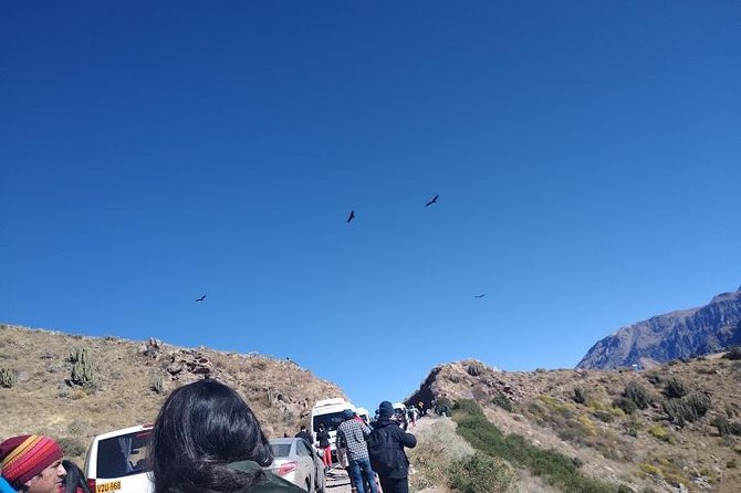 Excursion to Colca Canyon 1 Day - Other H2s: