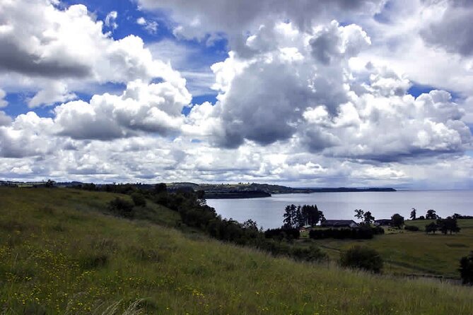 Excursion to Frutillar From Puerto Varas - Excursion Highlights