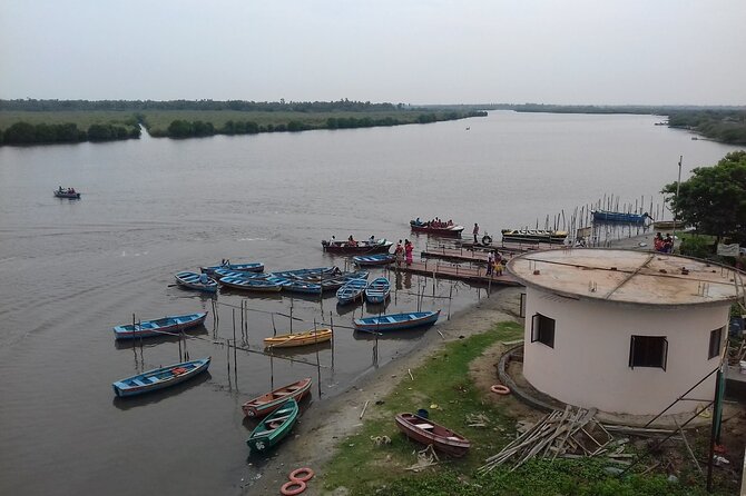 Excursion to Pichavaram Mangrove & Nataraja Temple Chidambaram From Pondicherry - Meeting Points and Transportation