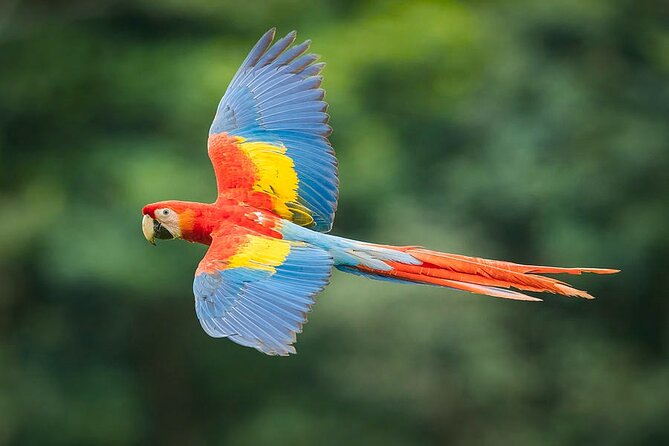 2 Best Safari Tours In Cartagena