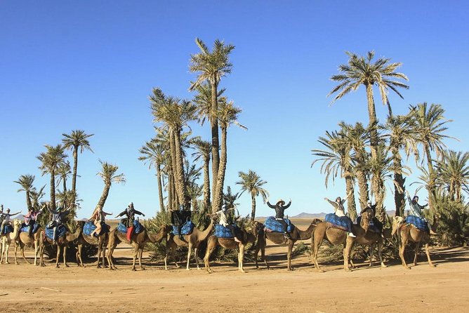 Experience Camel Riding in Marrakech Palm Oases