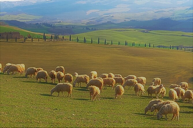 Experience the Tuscany Life-style