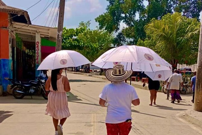 Experience Town of Palenques Culture and Historical Private Tour - Overview of the Tour