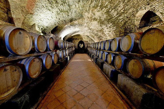 Explore Chiantis Beauty: E-Bike Tour & Wine Tasting