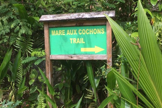 Explore Mare Aux Cochons Trail - Flora and Fauna