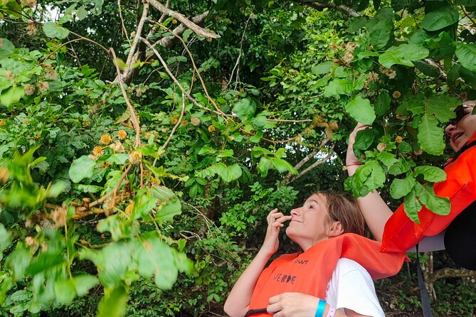 Explore Monkey Island and Poin From the Riu Playa Blanca - Participant Requirements