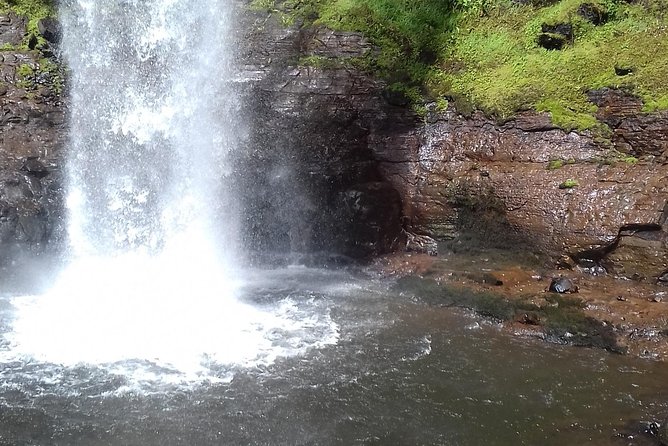 Explore the Jungle Aberdare National Park Queen Caves and More - Park Features and Wildlife