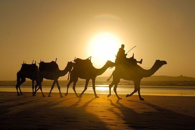 Exploring Mirleft & Sidi-Ifni in 3-day Private Tour.