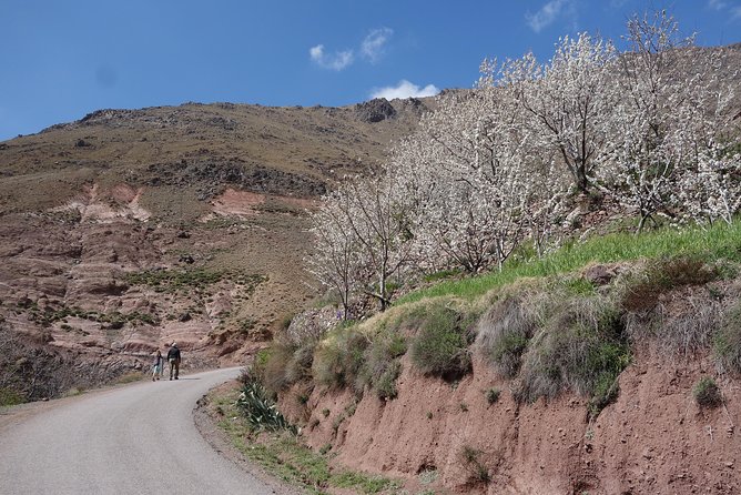 Family Day Trip to the Berber Villages of the Atlas Mountains