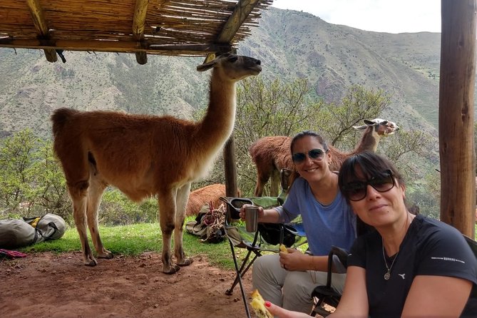 Family Trek With Llamas (Full Day) - Meeting Point and End Point