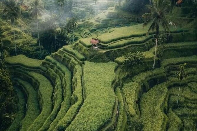 Famous Ubud Villlage & Dance With Rice Terrace & Waterfall Visit