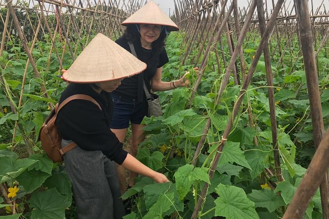 Farm Tour & Home Cooking Class With Local Family in Hanoi - Inclusions