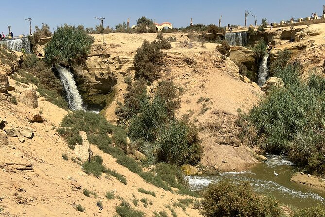 Fayoum Oasis Safari Day Tour From Cairo by Car - Tour Highlights