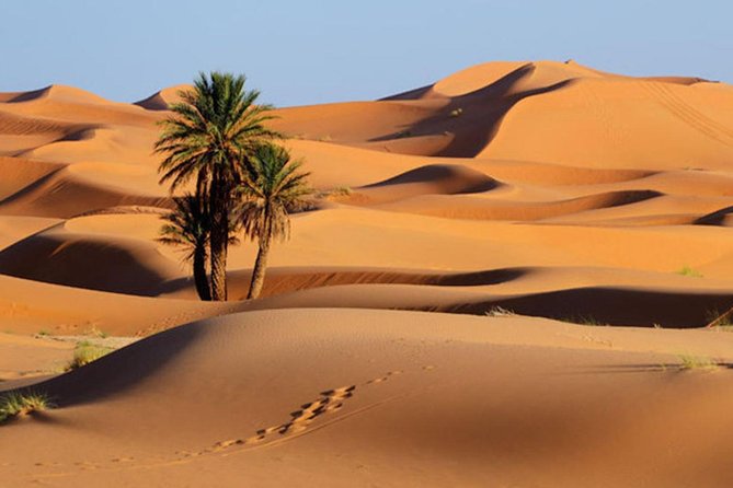 Fes to Fes 2 Days Private Desert Tour