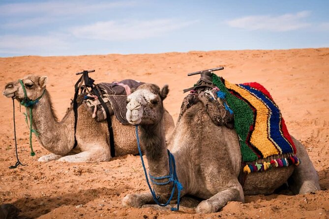 Fes to Fes 3 Days Desert Tour