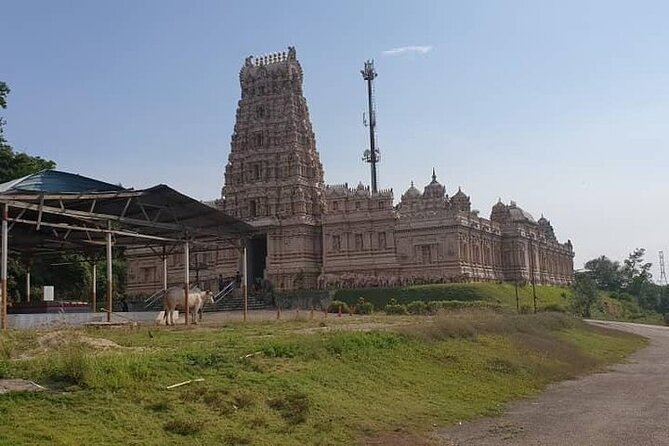 Fireflies and Hots Spring Nature Tour by KLASH - Tour Details