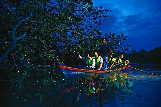 Fireflies Night Tour With Seafood Dinner - Tour Location