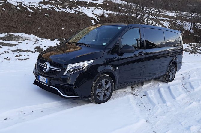 Fiumucino Rome Airport (FCO) – Ladispoli / Private Arrival Van Transfer - Pickup Information