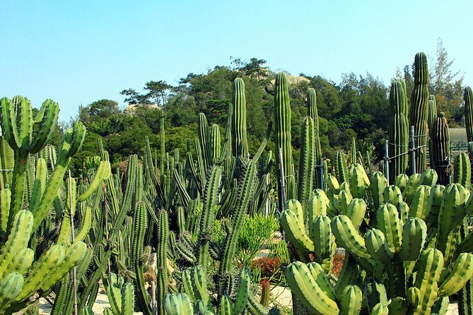 Flexible Xiamen Private Half Day Tour to Experience Xiamen Botanical Garden - Itinerary Details