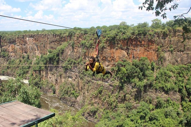 Flying Fox