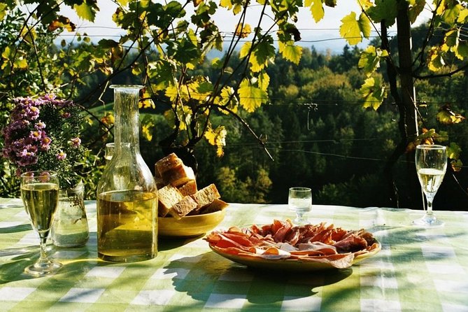 Food and Wine Tasting Experience in Trieste Traditional Farmhouse Osmiza - Experience Overview