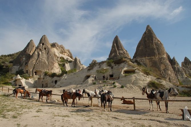 For Cruisers : Istanbul & Cappadocia Tour - Balloon Ride,Camel Safari - Itinerary Highlights