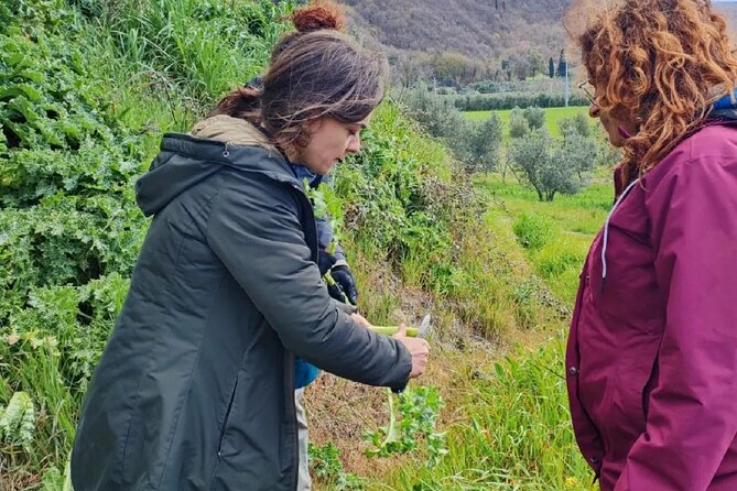 Foraging Tour in the Tuscan Countryside