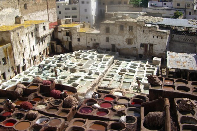 Four Days in Fez - Day Trips and Excursions Around Fez - Day 2: Discovering Volubilis and Moulay Idriss