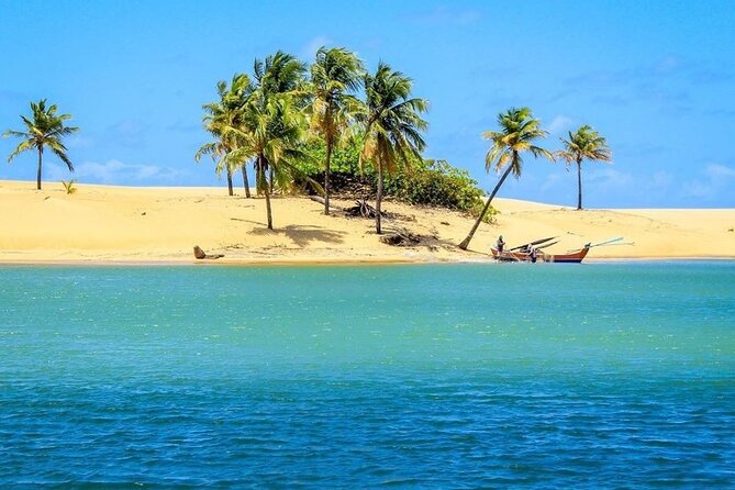 Foz Do Rio São Francisco Tour From Maceió