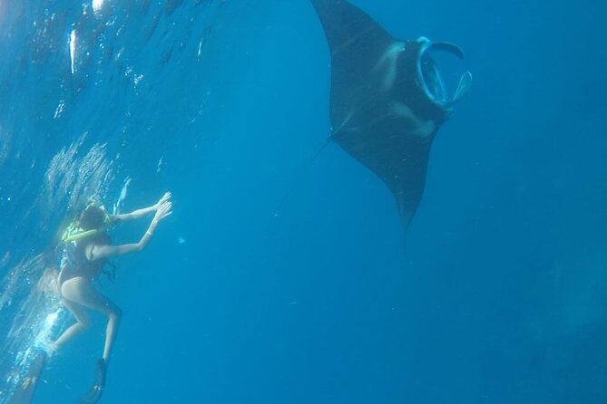 From Bali One Day Nusa Penida Tours With Manta Rays Snorkeling