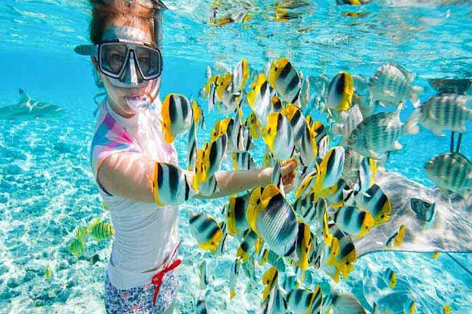From Cairo: Day Tour to Red Sea El Ain Sohkna