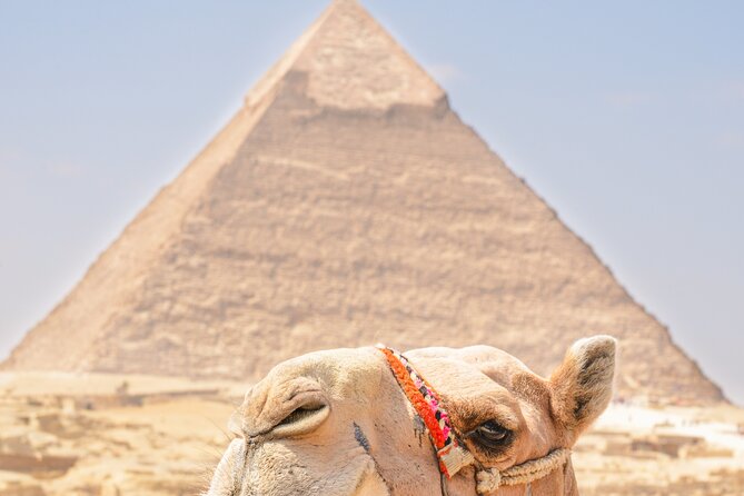 From Hurghada to Pyramids of Giza, Egyptian Museum, Lunch & Guide