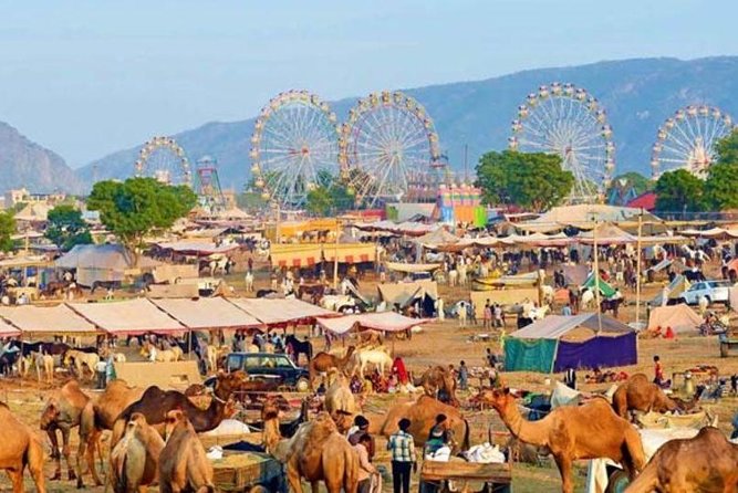 From Jaipur: Pushkar Self-Guided Day Trip