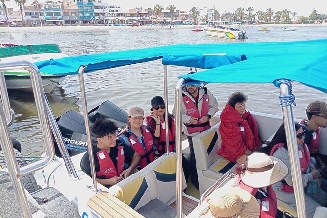 From Lima: Private Full Day Paracas, Ica, Huacachina - Pickup and Drop-off