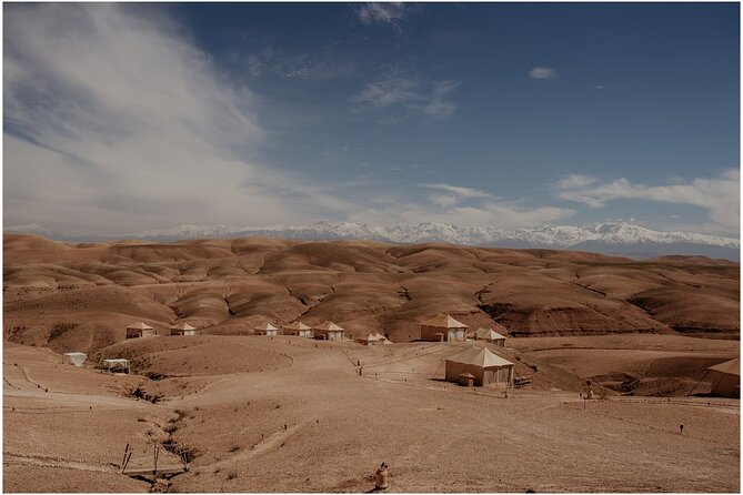From Marrakech: Camel Ride and Quad Biking Tour