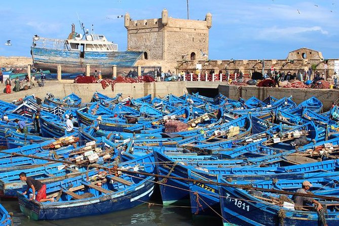 From Marrakech to Essaouira Beachs & City Walls Medina - Tour Highlights